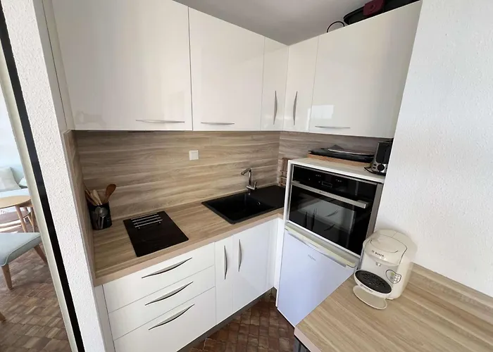 Au Cap D'agde Avec Climatisation Et Parking - Fr-1-702-67